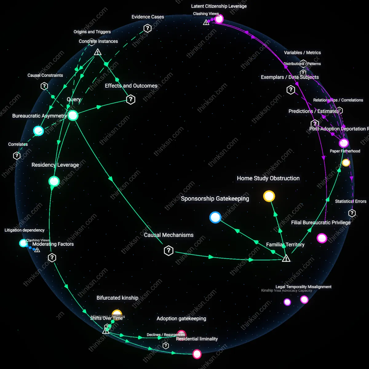 Analysis: Explore the complex adoption hurdles faced by mixed-status couples — unpack hidden assumptions and trace causal links interactively.