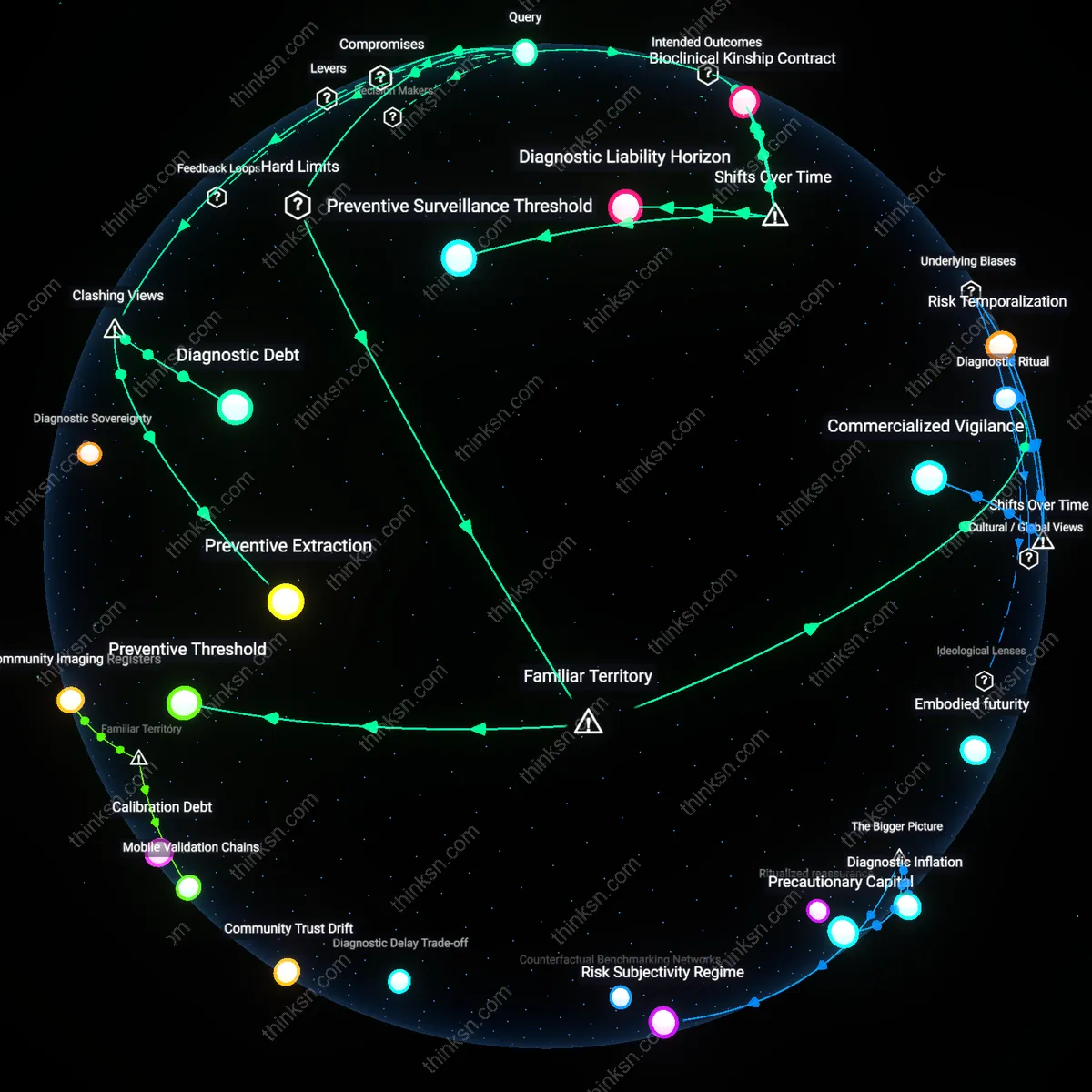 Interactive semantic network: How should a patient with a family history of melanoma decide whether to undergo full‑body skin imaging, given ambiguous evidence and high procedural costs?