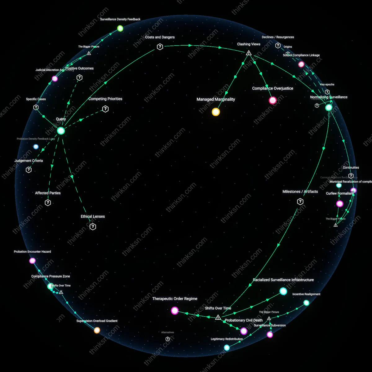 Analysis: Explore the causal links and hidden assumptions behind racial disparities in probation revocation — map the complex reasoning chains interactively.